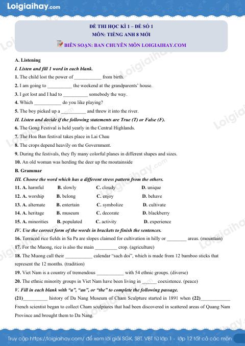 10 đề thi học kì 1 Tiếng Anh 8 mới có đáp án và lời giải chi tiết